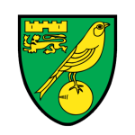 诺维奇队标