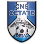 切塔泰迪瓦队标